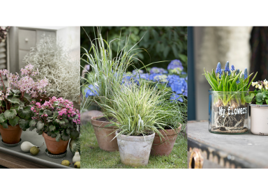 Kollage af blomster