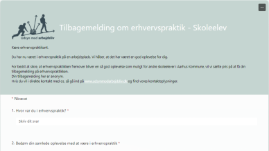 Screenshot af spørgeskema til elev om erhvervspraktik