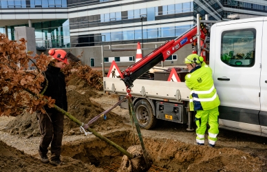 Entreprenørenheden - Aarhus Kommune